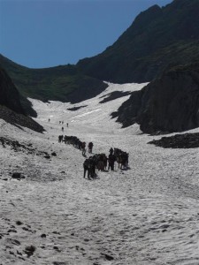 The Hostile Pyrenees