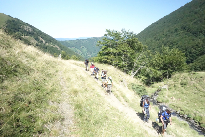 Le Chemin 2014 commemorative walk